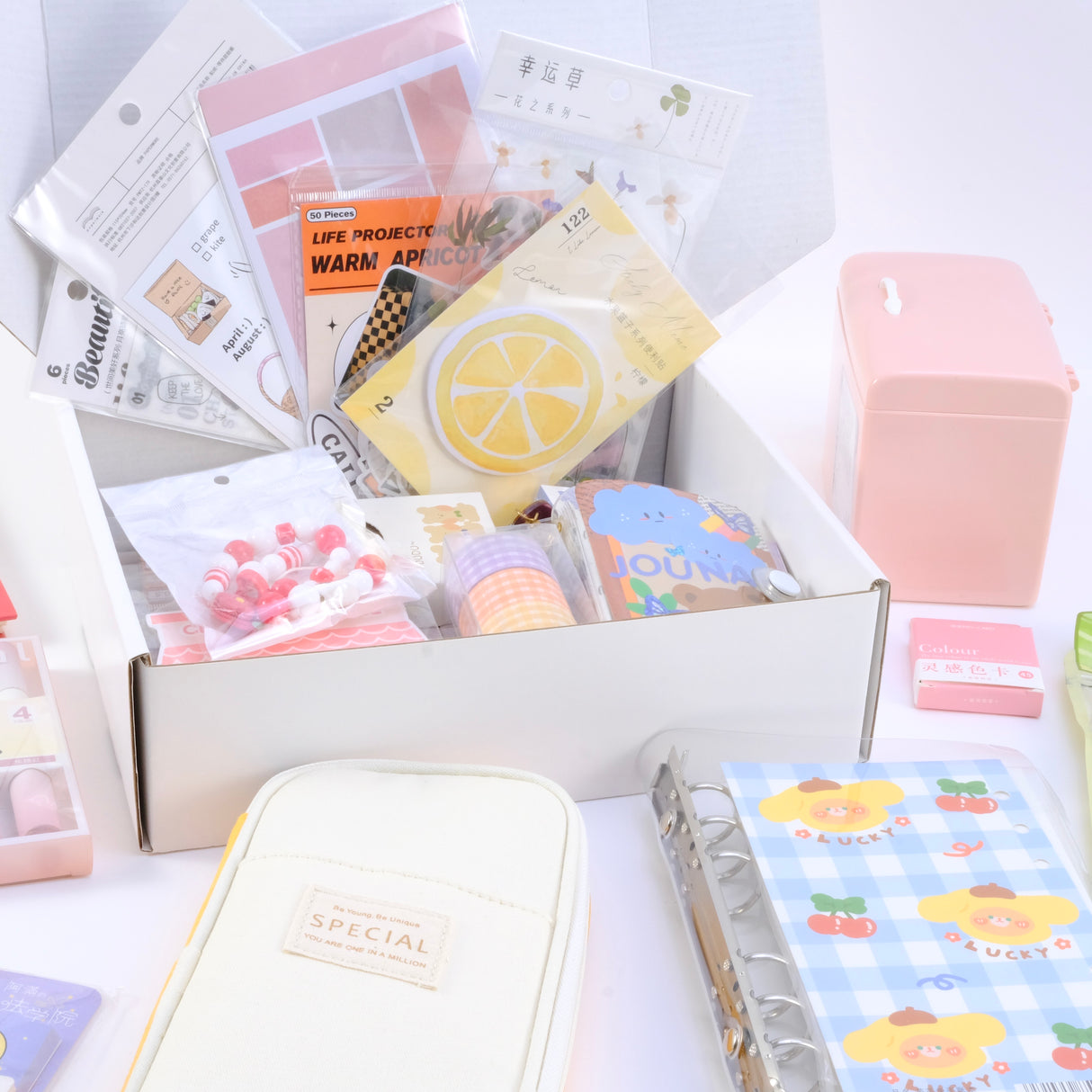 Journaling Surprise Box