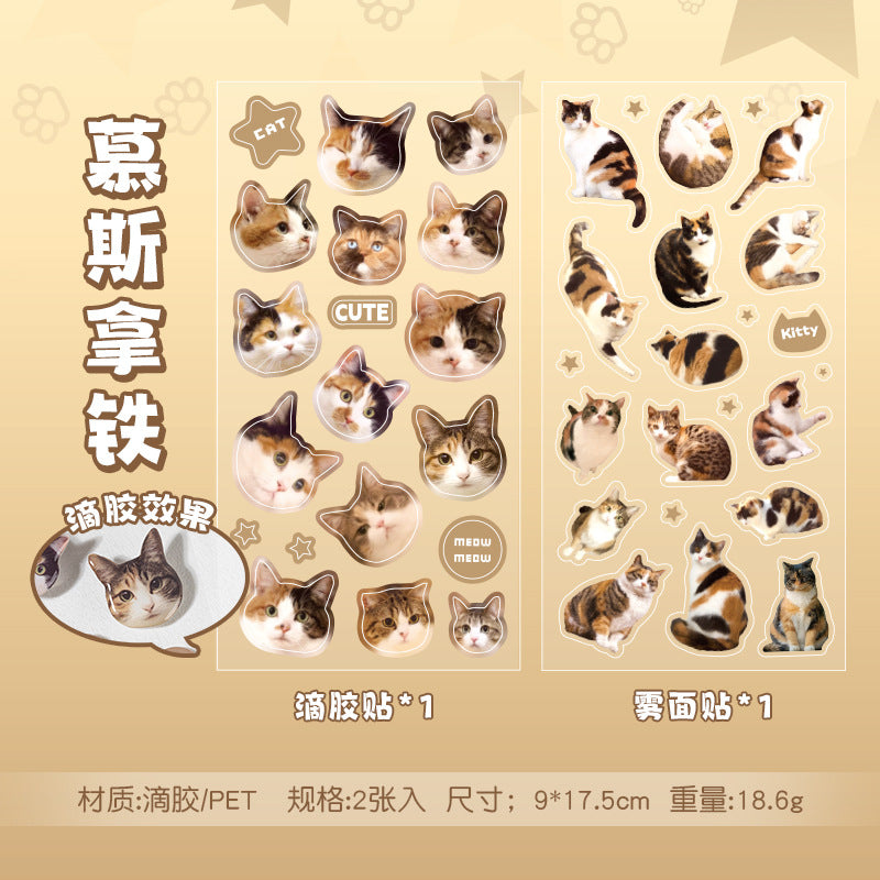 Cat Head 3D Sticker Sheet