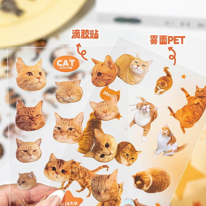 Cat Head 3D Sticker Sheet
