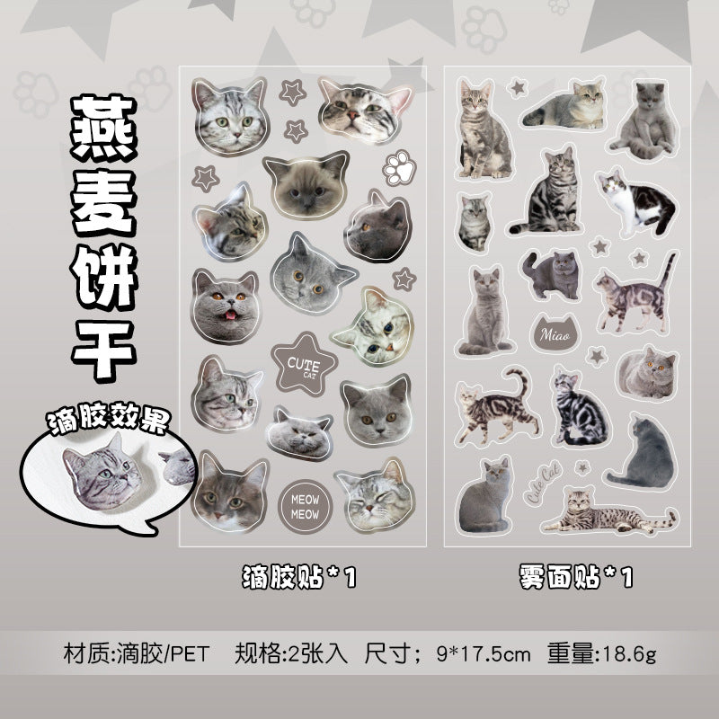 Cat Head 3D Sticker Sheet