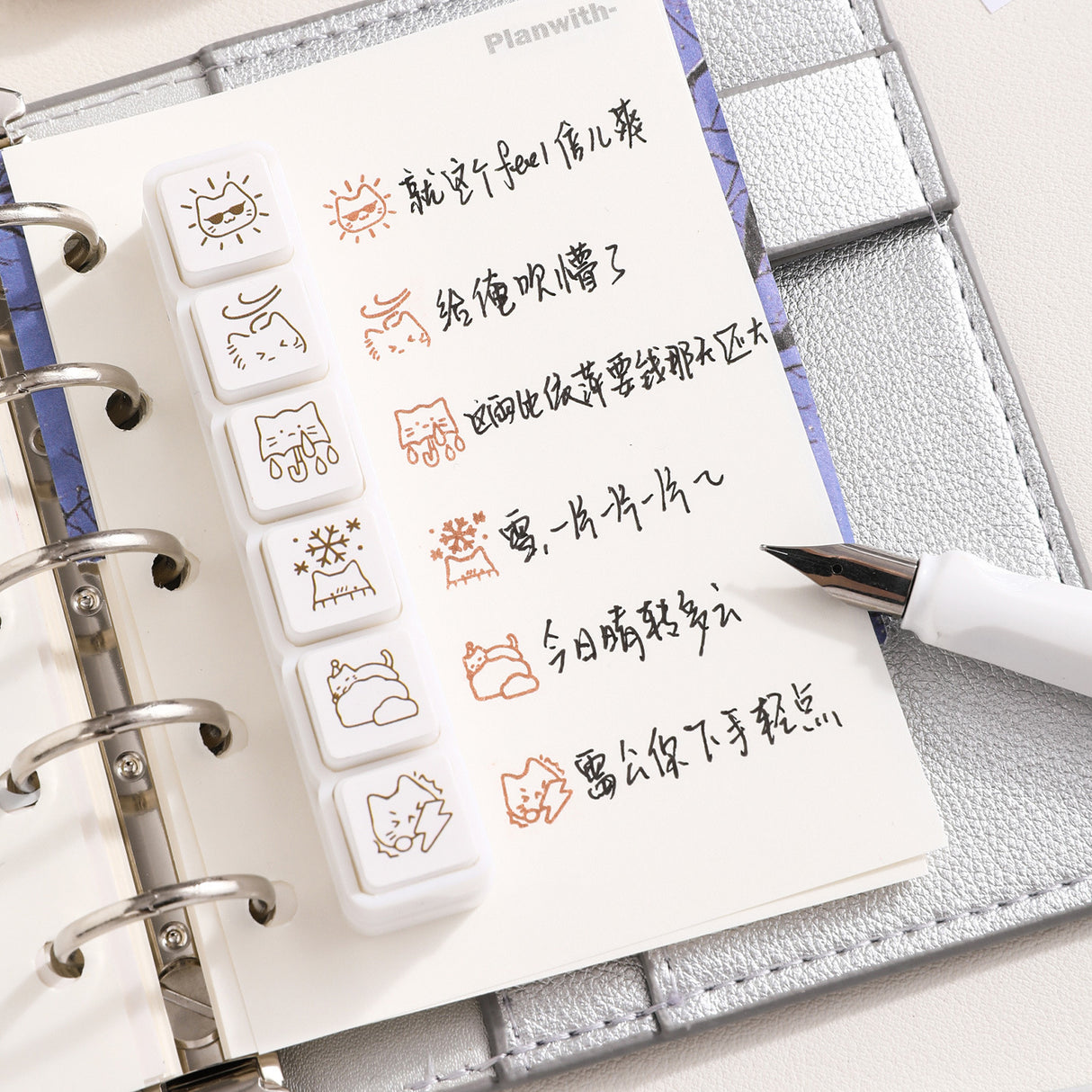 6 in 1 Kitten Daily Recording Stamps