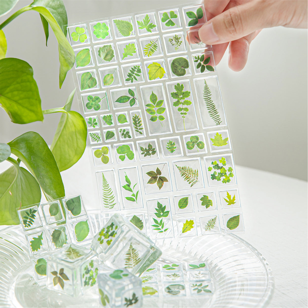 Dry Flower 3D Sticker Sheet