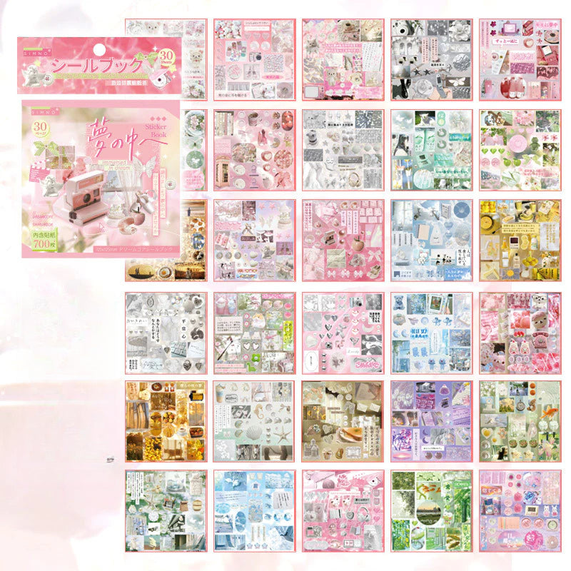 Dreamcore Retro Sticker Book