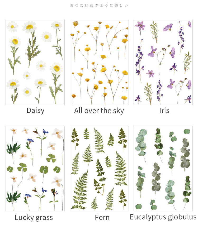 Flower Series 1 PET Vintage Sticker Sheet