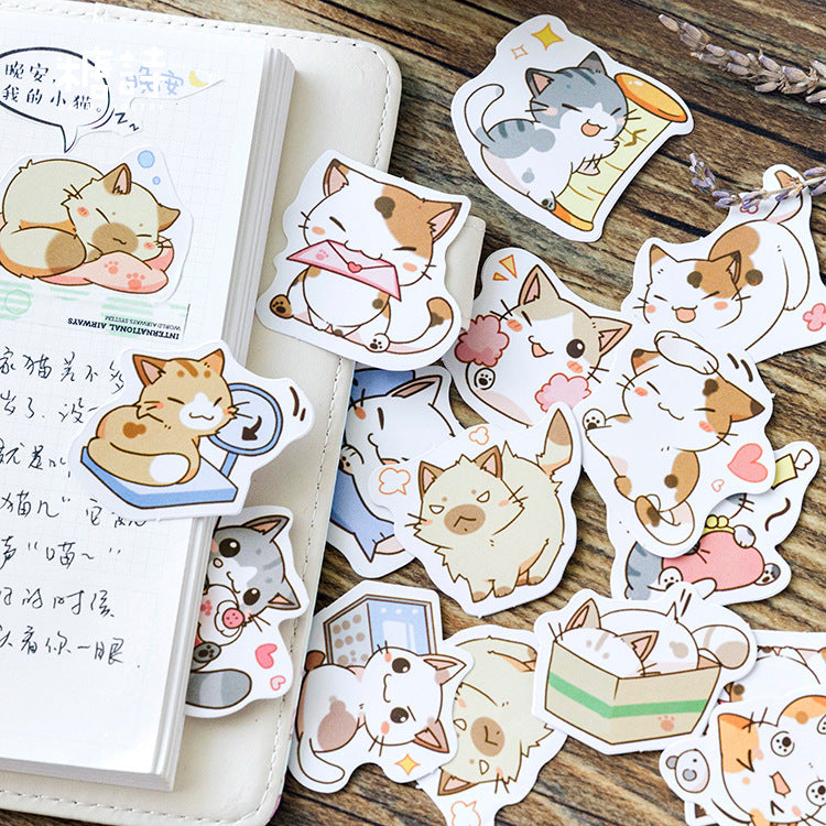 Stickerbox aus der Serie „Sei meine Katze“