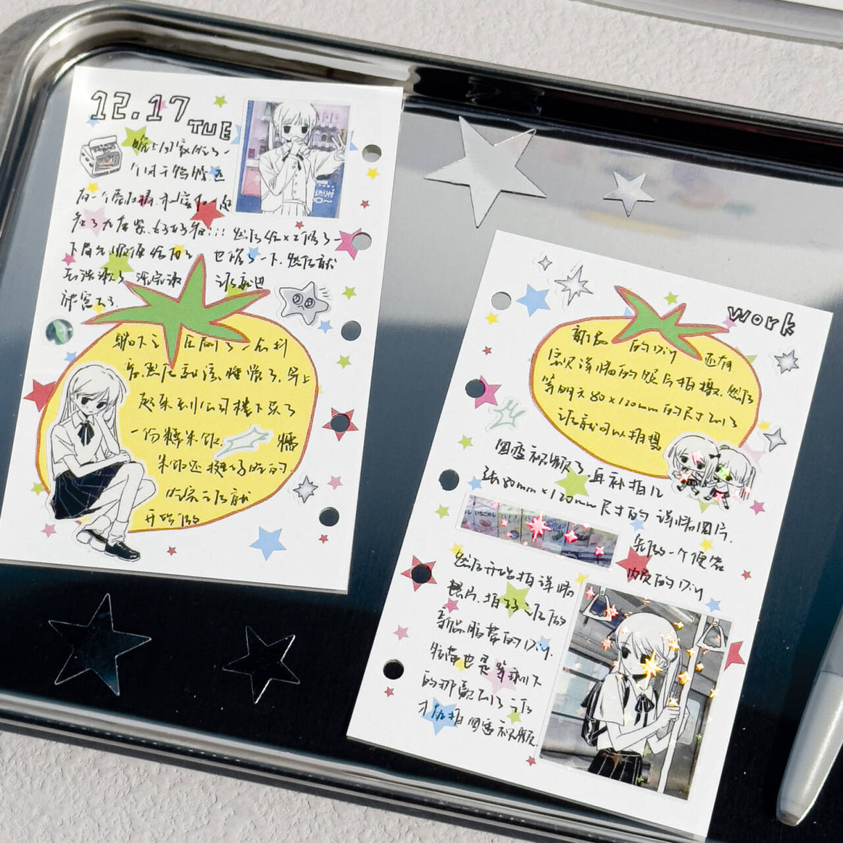 Original Brand Try-on Bag Vol.6