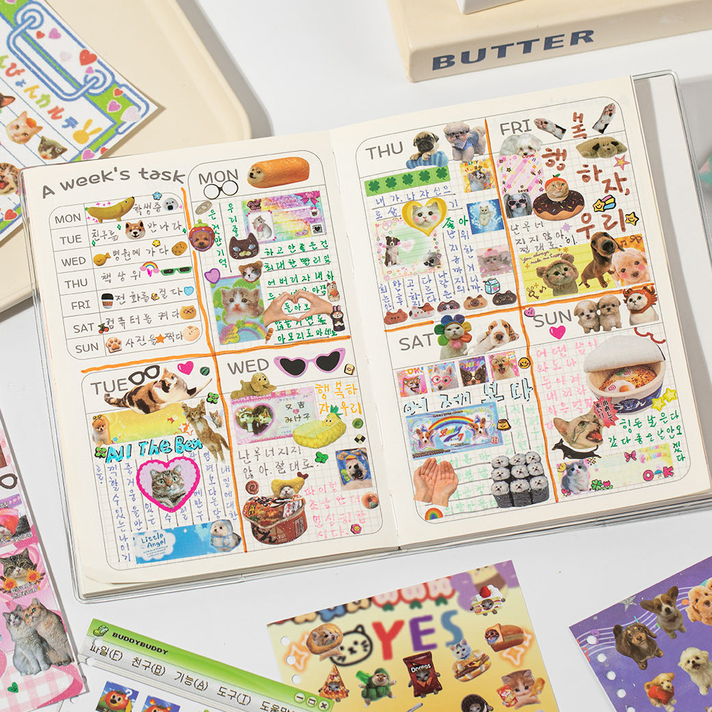 Fluffy Diary Sticker Book