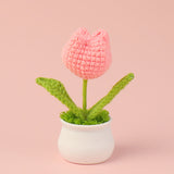 Rejoyce Handmade Crochet Potted Tulip