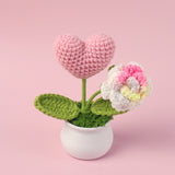 Rejoyce Handmade Crochet Potted Rose with Heart