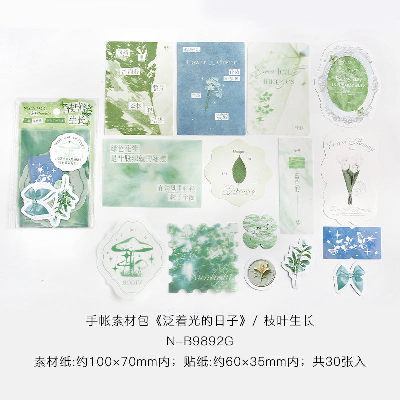 Shining Life Aesthetic Material Paper Bag