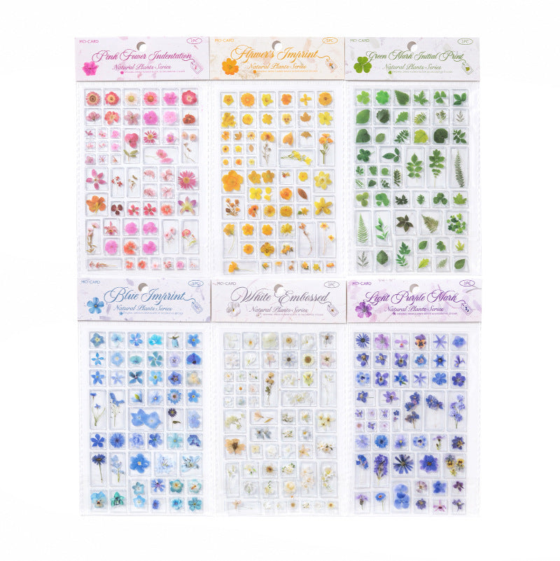 Dry Flower 3D Sticker Sheet