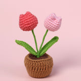 Rejoyce Handmade Crochet Two Heads Potted Tulip