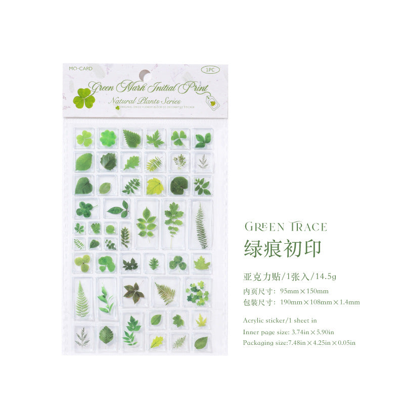 Dry Flower 3D Sticker Sheet