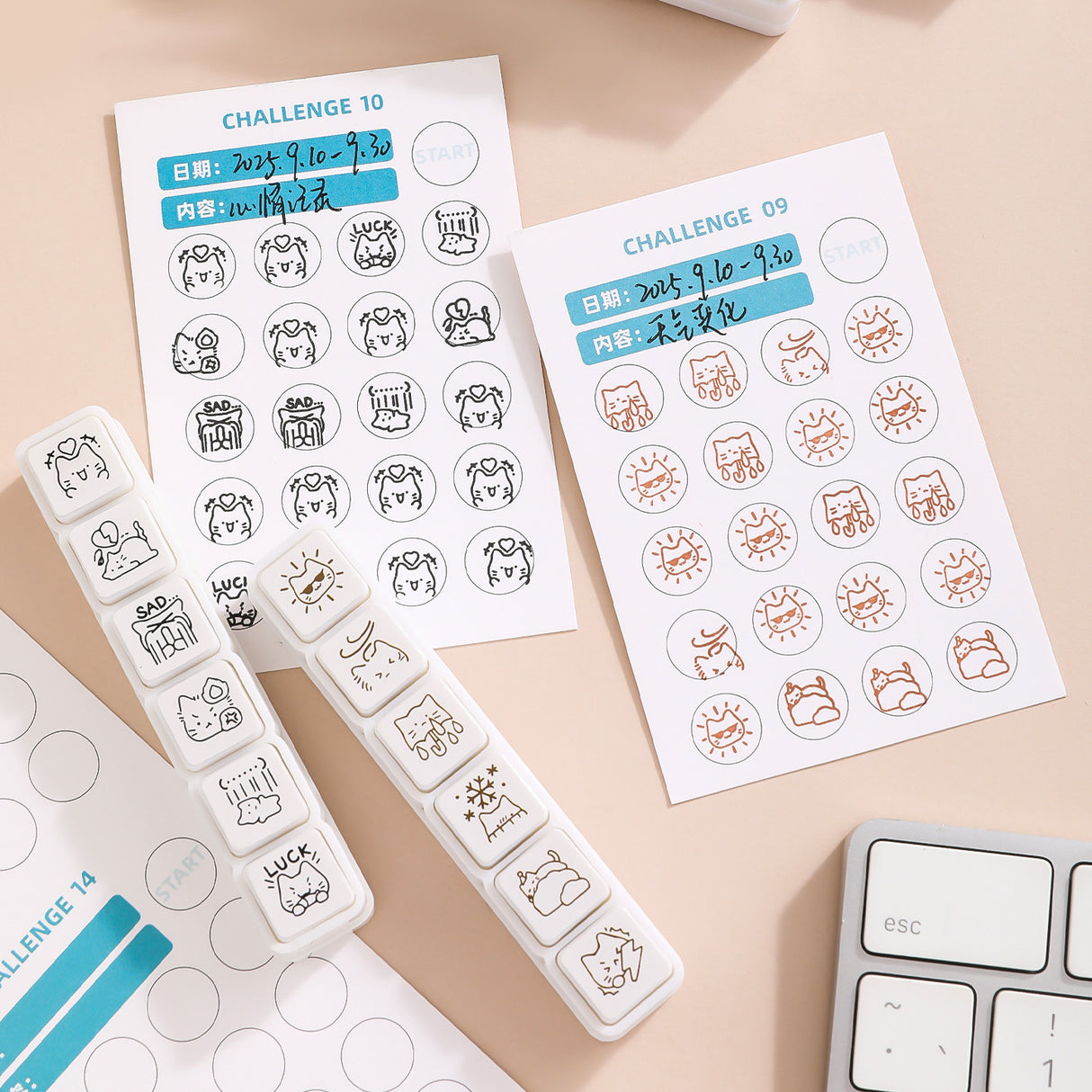 6 in 1 Kitten Daily Recording Stamps