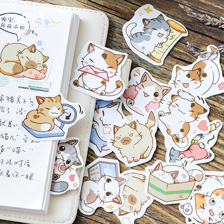 Be my cat series sticker box